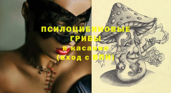 спайс Арсеньев