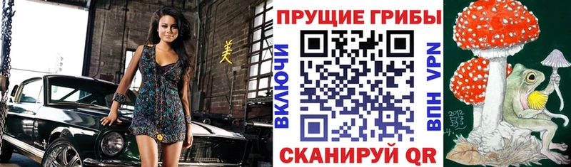 Галлюциногенные грибы Magic Shrooms  закладки  Спасск-Дальний 